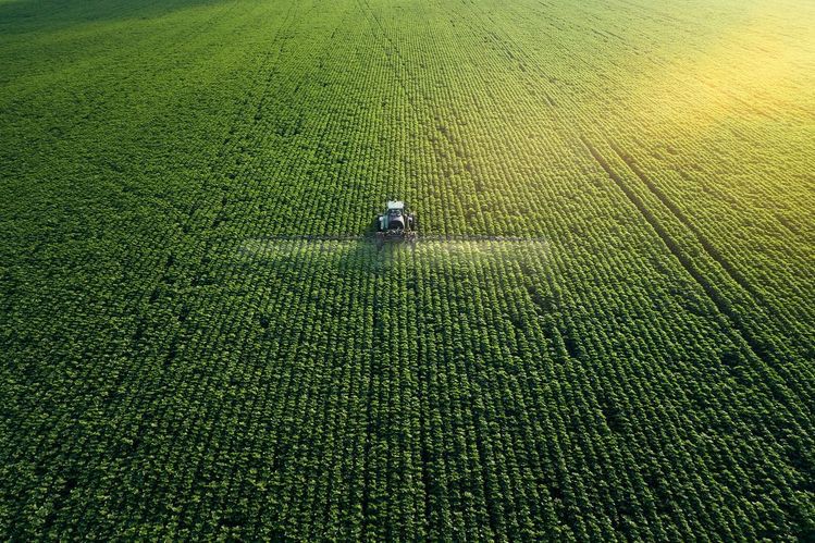 Agriculture