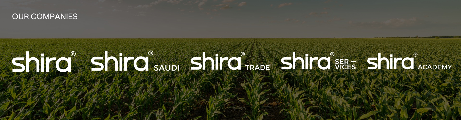 Our companies: Shira, Shira Saudi, Shira Trade, Shira Services, Shira Academy